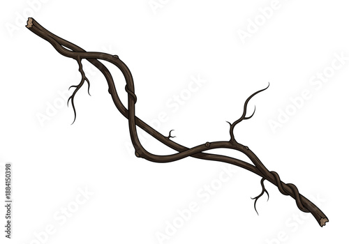 A dark brown twisted tree branch with multiple smaller branches extending from it, viewed from a slight angle