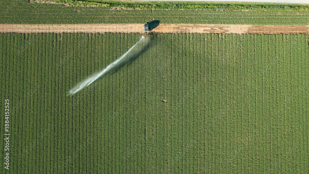 Naklejka premium Green farm field rows watered by a rotary sprinkler system, aerial view showing efficient irrigation for sustainable crop growth, climate adaptation and productive agriculture