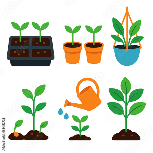 Modern Plant Cultivation. Plant cultivation vector set in modern flat style : seed trays, potted seedlings, hanging plants, watering can, growth stages, healthy leaves