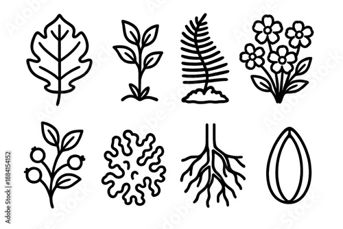 Forest Flora Icons. Forest Plant Diversity set in outline vector style: canopy leaf, understory plant, fern mat, wildflower cluster, berry sprig, lichen patch, root network, forest seed
