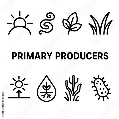 Primary Producers Icons. Primary Producers set in outline vector style: sunlight beam, algae swirl, leaf sprig, grass tuft, photosynthesis spark, aquatic plant, nutrient droplet, soil microbe