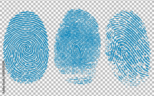 Collection of three distinct black and white fingerprint swirl patterns displayed side-by-side