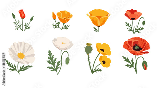 Stylized poppy flowers and buds in vibrant red orange yellow white with green leaves and seed pods.