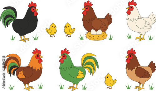 Set of colorful farm bird vector illustrations featuring roosters hens and cute yellow chicks with a nest of eggs isolated on white background for agriculture concepts.