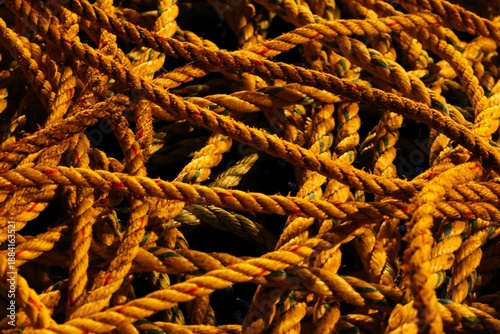 Tangled Yellow rope in a wooden box 