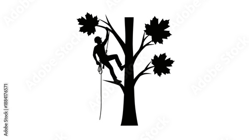 Silhouette of a tree climber working on a tree with leaves.