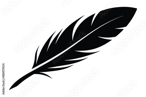 feather silhouette line art vector illustration with a white background