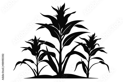 corn plant silhouette line art vector illustration with a white background