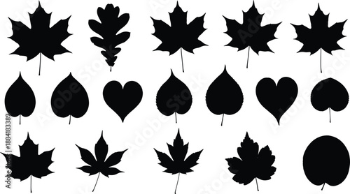 Black silhouette of various tree leaves including maple and oak species isolated on white background for autumn nature design, botanical illustration, and environmental projects.