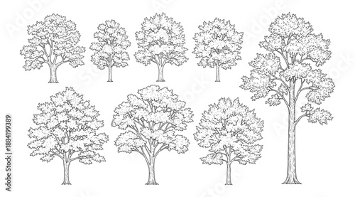 Collection of nine black-and-white tree illustrations in two rows, showcasing diverse shapes, canopy densities, and trunk structures for botanical reference, landscape design, and artistic inspiration
