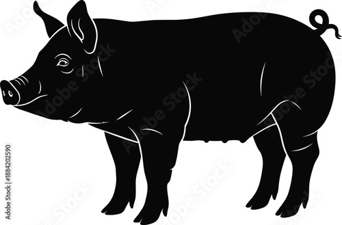 Pig silhouette illustration, cad drawing flat vector illustration, farm animal livestock, black pig icon, rural agriculture design element