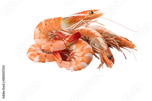 Fresh Cooked King Prawns and Peeled Jumbo Shrimp Chilled on Ice for Seafood Platter