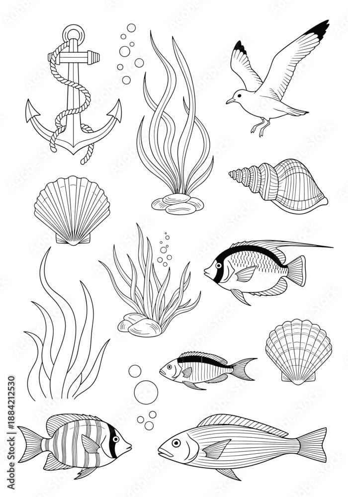 Obraz premium Collection of black and white line art illustrations featuring marine life, seashells, fish, seaweed, and a nautical anchor.
