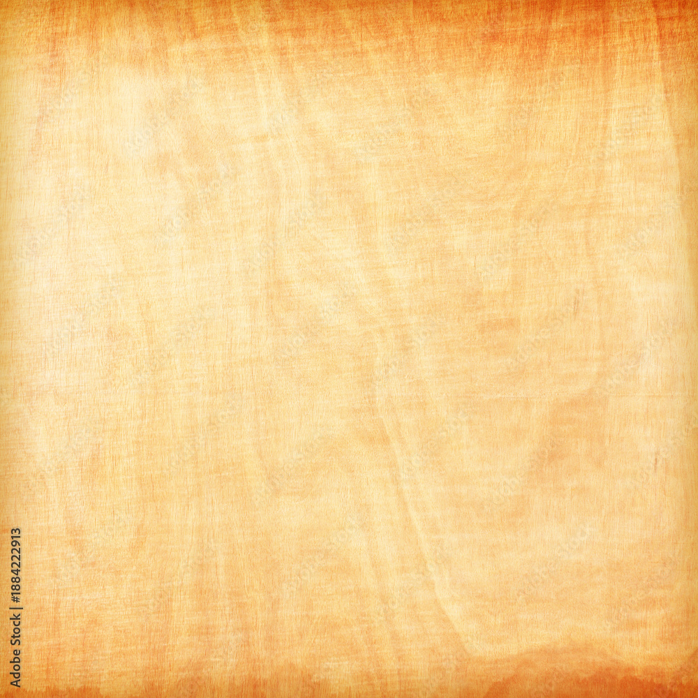 Obraz premium wood texture with natural wood pattern