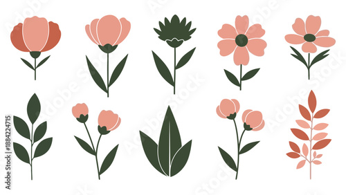 Collection of various flower illustrations showcasing different blooms and foliage in a minimalist style