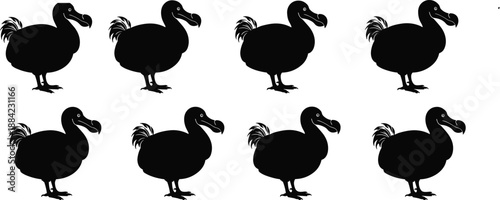 Dodo bird silhouette collection showing extinct flightless bird standing poses isolated on white background for wildlife history vector design
