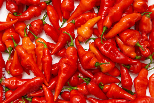Photos red hot pepper on a white background.