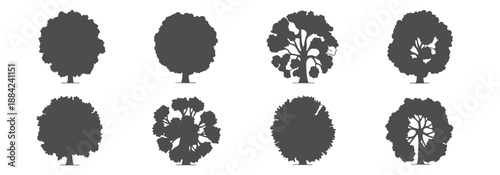 Top View Tree Canopy Shapes Minimal Architectural Illustration