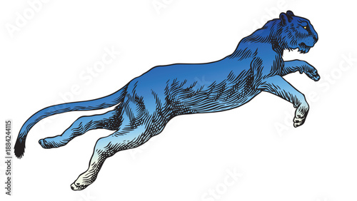 Young Lion Lioness or panther jumps realistic black and white drawing in very detailed old engraving style. Pen and ink used design with traditional tools. 