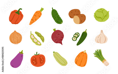 Collection of various vegetables isolated on white background. Healthy vegetarian food. Bundle of organic natural crops, salads, greens and herbs. Colorful vector illustration in flat cartoon style