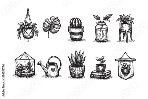 A diverse collection of hand-drawn, black and white houseplant illustrations features various potted plants, a terrarium, watering can, and botanical elements, perfect for rustic or minimalist design.