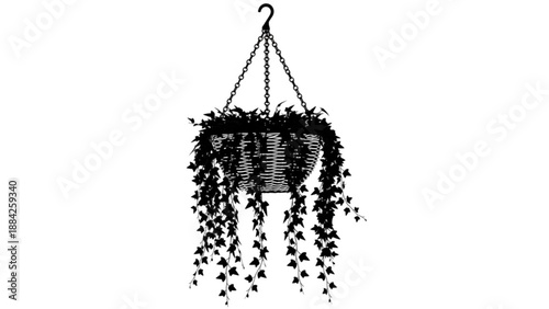 Hanging plant with lush greenery in a pot suspended from a hook, viewed from the side