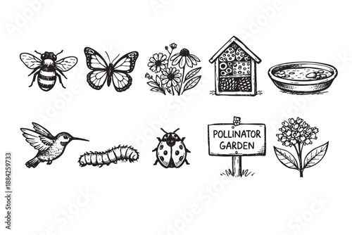 A charming black and white hand-drawn vector illustration set depicting various essential pollinator garden elements and wildlife, perfect for educational content or nature-themed designs.