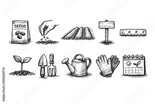 A detailed hand-drawn set of black and white gardening tools and planting elements, including seeds, a sprout, watering can, and gloves, perfect for illustrating garden care and cultivation.