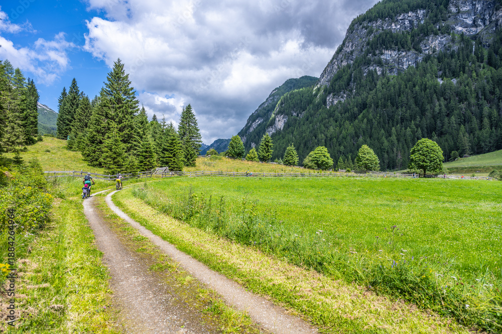 Fototapeta premium A picturesque path winds through a lush green meadow, surrounded by majestic mountains in Austria. A couple enjoys a leisurely walk, embracing the beauty of nature and tranquility.