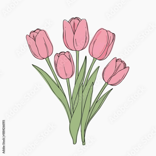 Pink tulips bouquet illustration in flat pastel shades representing affection and spring gifting on white background, Mother's Day, Valentine's Day, International Women's Day