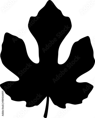 Large lobed fig leaf silhouette isolated on white background minimalist botanical and Mediterranean nature illustration
