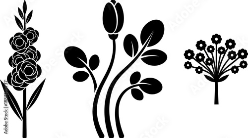 Minimalist black silhouette botanical illustration of three stylized flowering stems for decorative art, home decor, and design