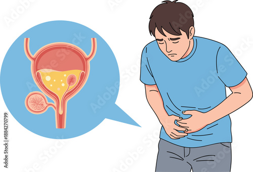 Male urinary system with bladder pain, medical anatomy illustration, abdominal discomfort symptom, infection concept – flat vector illustration