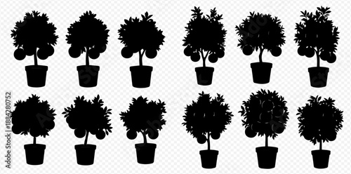 Collection of potted citrus trees with fruits, silhouetted against a transparent background, perfect for graphic design elements.