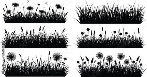 Wild grass and meadow silhouette collection with flowers and plants, black and white nature border elements, decorative landscape illustration set for design use