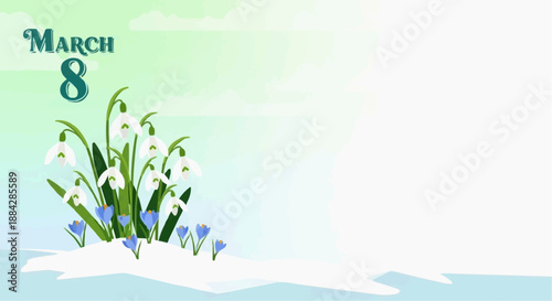 Snowdrops and crocuses pushing through snow in optimistic pastel gradient representing early spring and International Women's Day against a soft sky with copy space