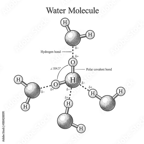 Water molecular structure showing hydrogen bonds, polar covalent bonds, and the bond angle between atoms sketch engraving generative ai vector illustration. Scratch board imitation. Black and white.