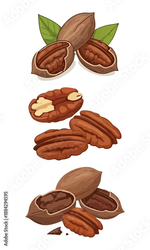 Pecan nut set vector art, pecan nut art, nut silhouette, various nut vector illustration