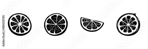 Citrus Fruit Slices In Hand Drawn Style Set. Freshness, Vitamin C, Healthy Eating Doodle Sketch Collection. Lemon And Orange Illustrations. Isolated Vector Illustration