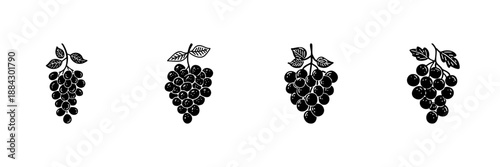 Grape Bunches In Hand Drawn Style Set. Vineyard Harvest, Wine Production, Fruit Agriculture Doodle Sketch Collection. Rustic Botanical Art. Isolated Vector Illustration
