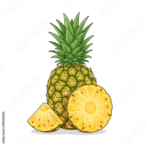 Fresh Tropical Pineapple Illustration: Whole Fruit and Slices Vector Art