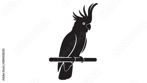 Silhouette of cockatoo perched on branch.
