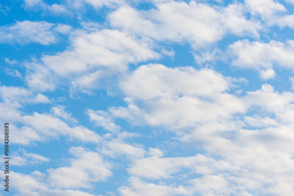 Fototapeta premium 冬の朝の空にうろこ雲のアップ17