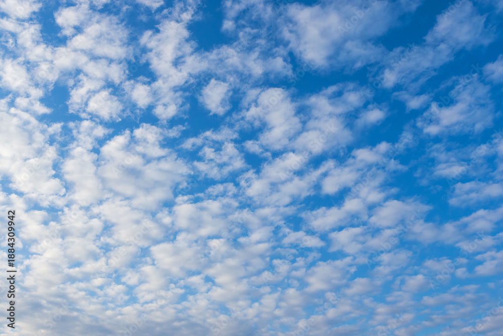 Obraz premium 冬の朝の空にうろこ雲08