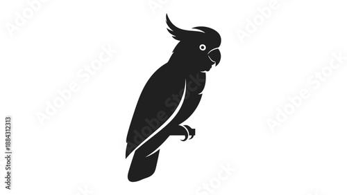 Black silhouette of a parrot bird.