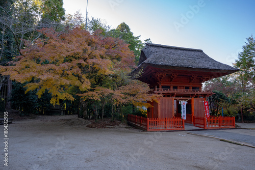 Bild auf Leinwand 六殿神社の楼門と紅葉（熊本市）
