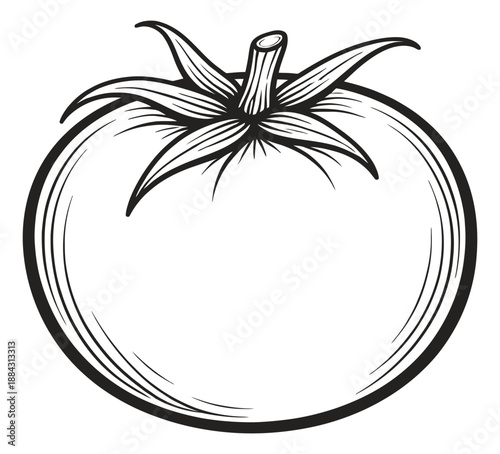 Hand drawn line art illustration of a tomato depicting a ripe vegetable for healthy eating