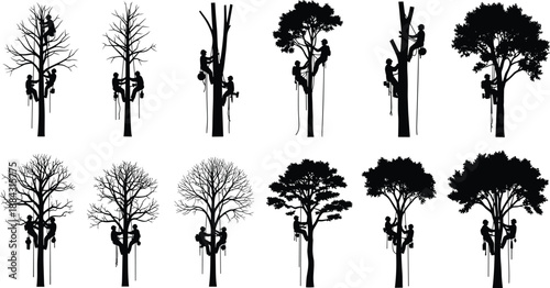 Tree climber silhouettes showing arborists pruning diverse trees, rope access workers, forestry maintenance concepts, isolated black vector illustration set collection