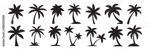 Collection of diverse palm tree silhouettes in various poses