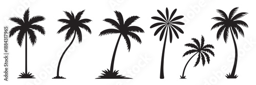 Set of tropical palm tree silhouettes on white background